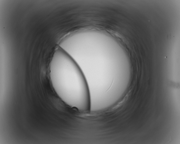 X0000085301257200703301952