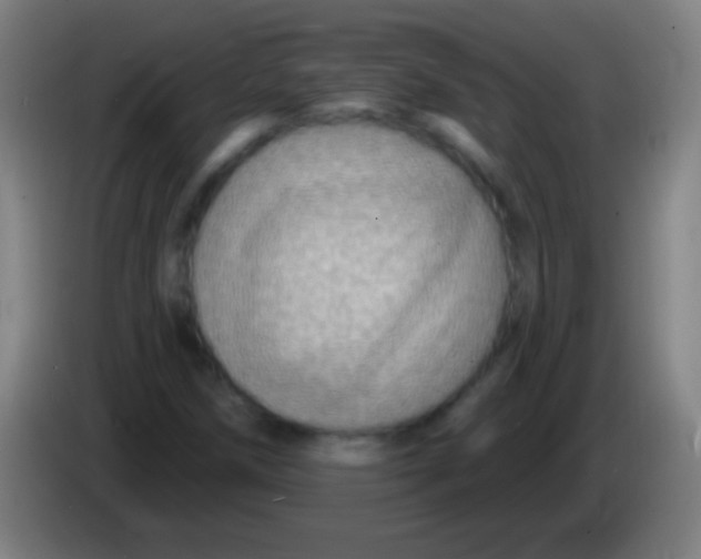 X0000085301258200703301952