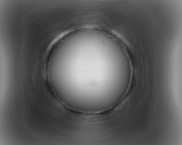 X0000085301262200703301952