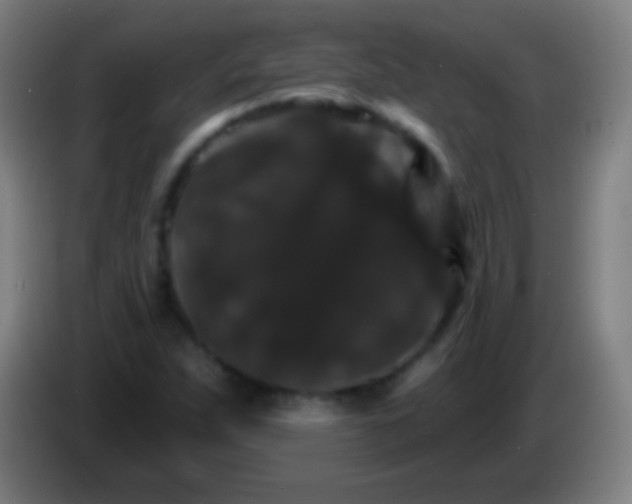 X0000085301263200703301952