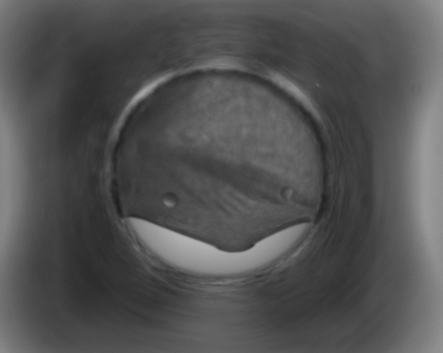 X0000085301264200703301952