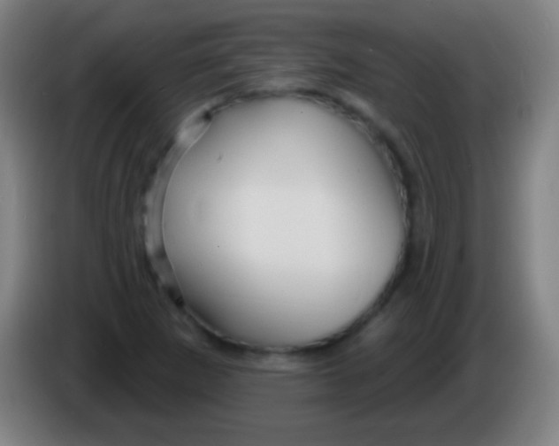 X0000085301265200703301952