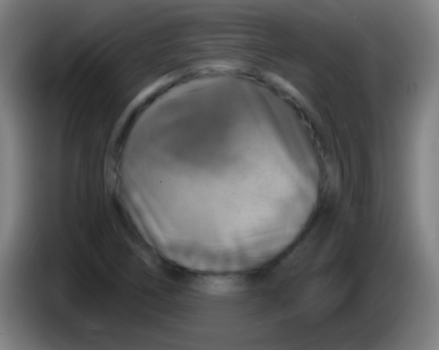 X0000085301266200703301952