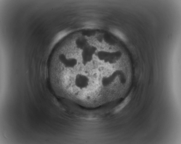 X0000085301267200703301952