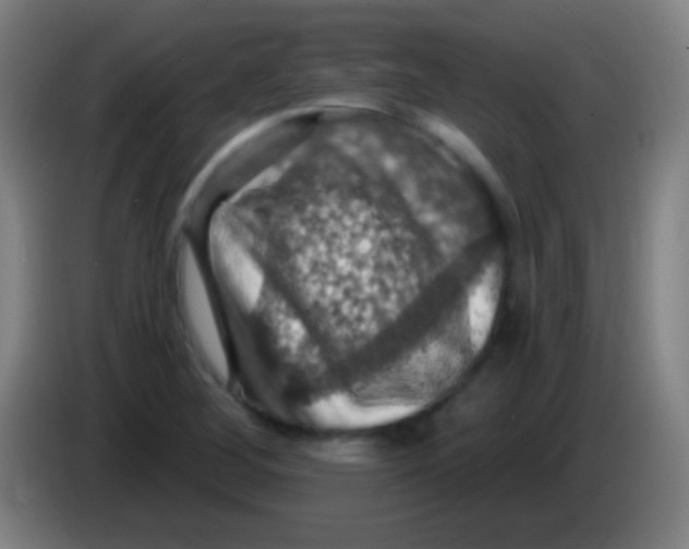 X0000085301268200703301952