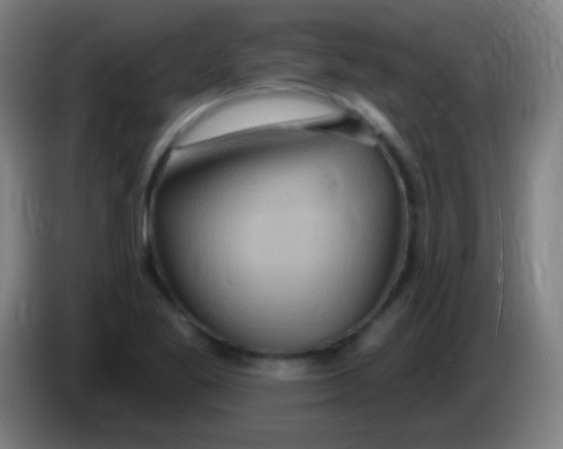 X0000085301269200703301952