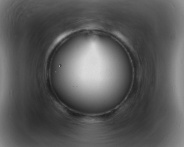 X0000085301270200703301952