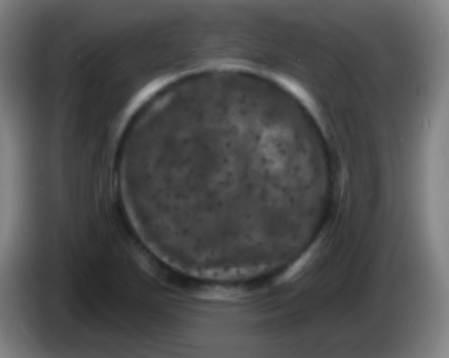 X0000085301271200703301952