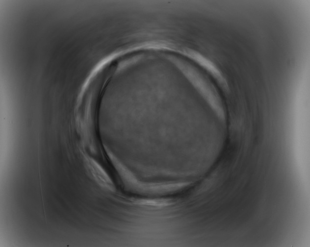 X0000085301272200703301952