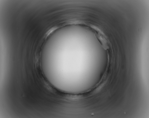 X0000085301273200703301952