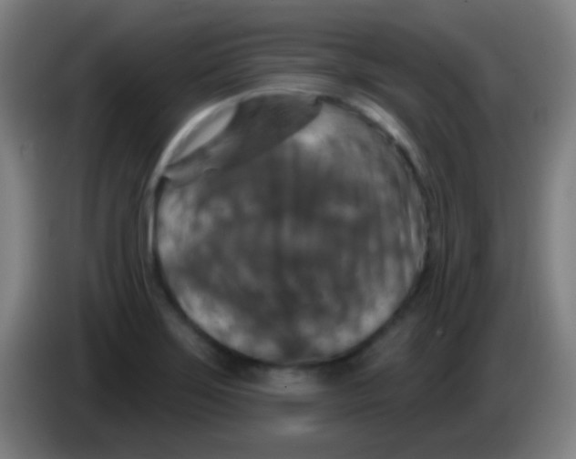 X0000085301275200703301952