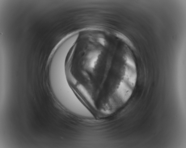 X0000085301276200703301952