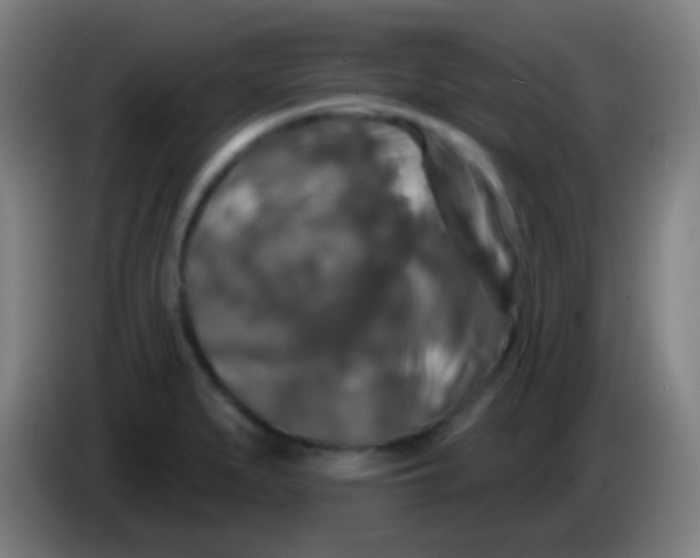 X0000085301279200703301952