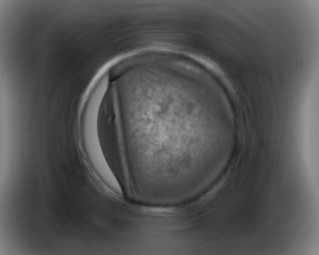 X0000085301280200703301952