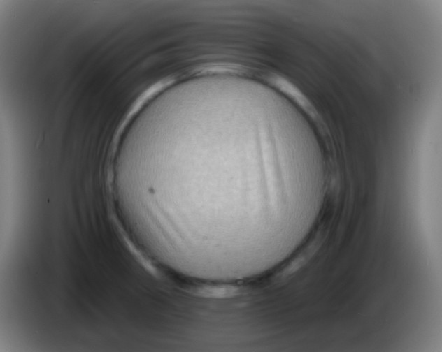 X0000085301282200703301952