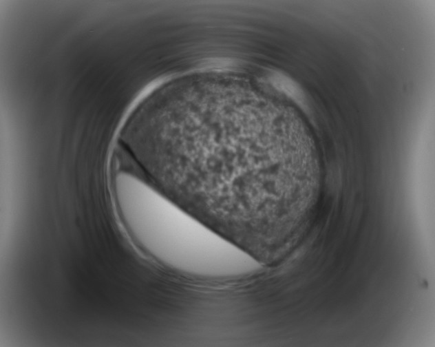 X0000085301283200703301952