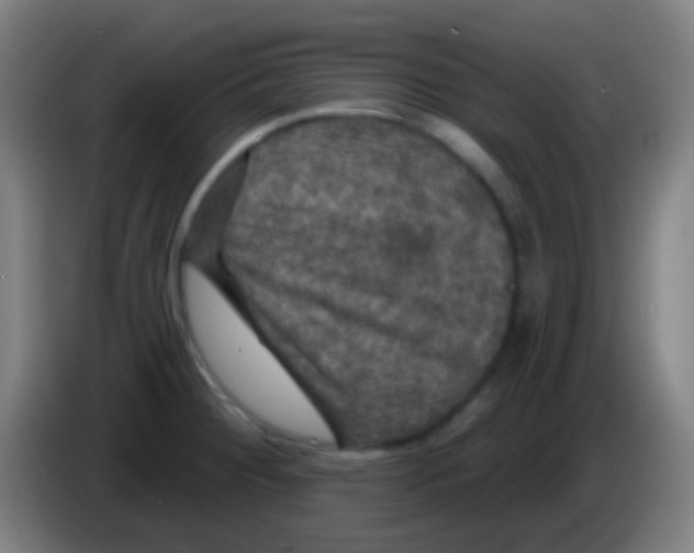 X0000085301284200703301952