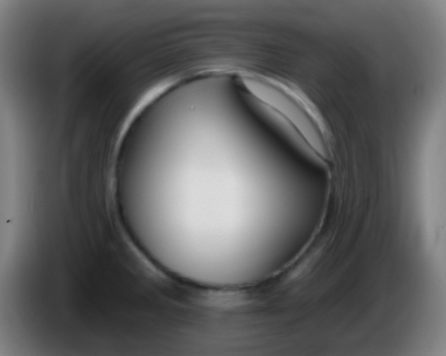 X0000085301285200703301952