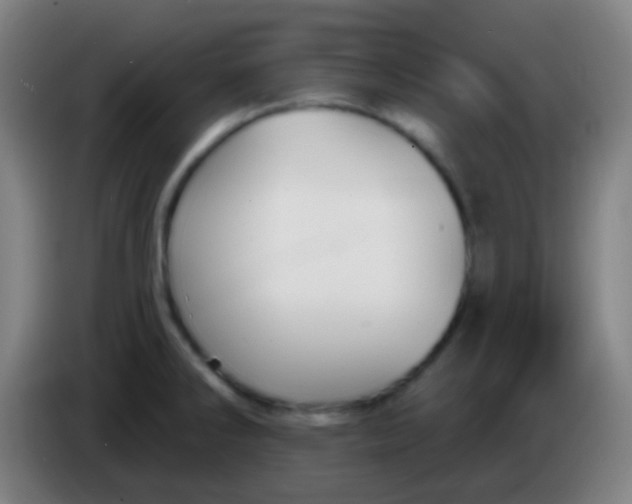 X0000085301286200703301952