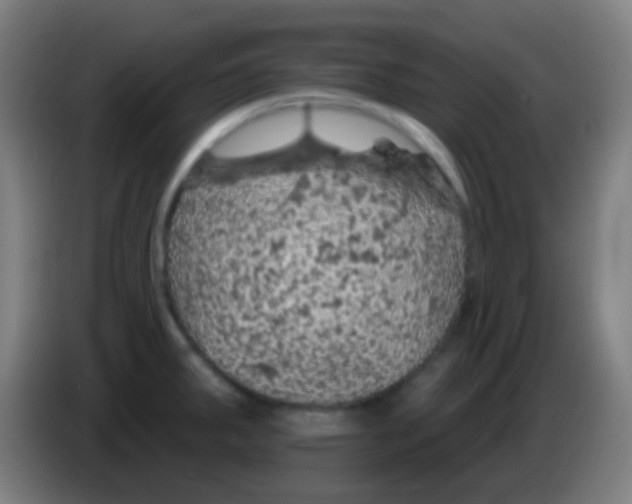 X0000085301287200703301952