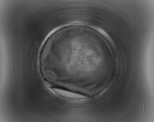 X0000085301288200703301952