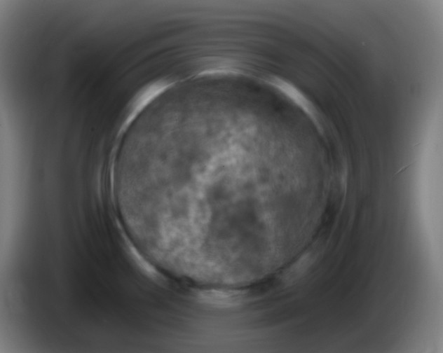 X0000085301290200703301952