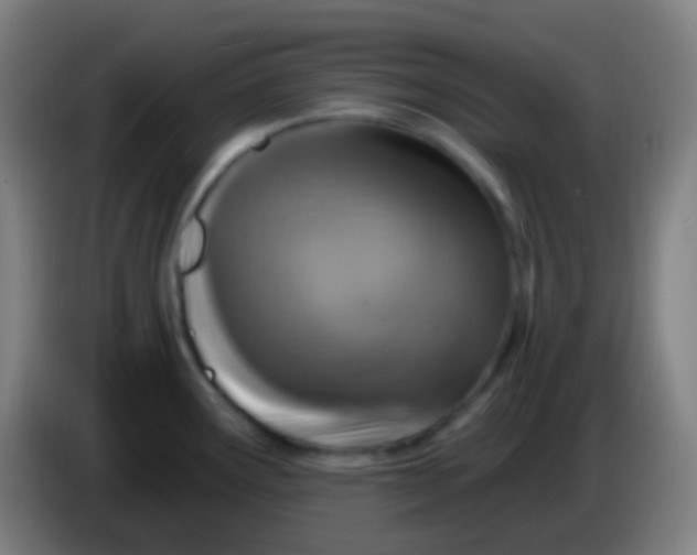 X0000085301291200703301952