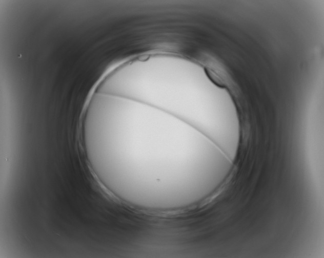 X0000085301292200703301952