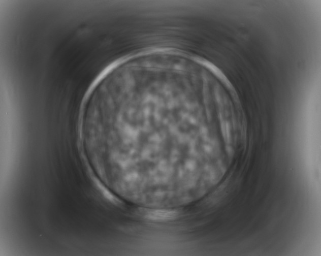 X0000085301294200703301952