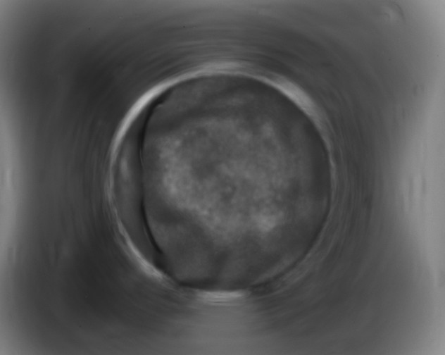 X0000085301296200703301952