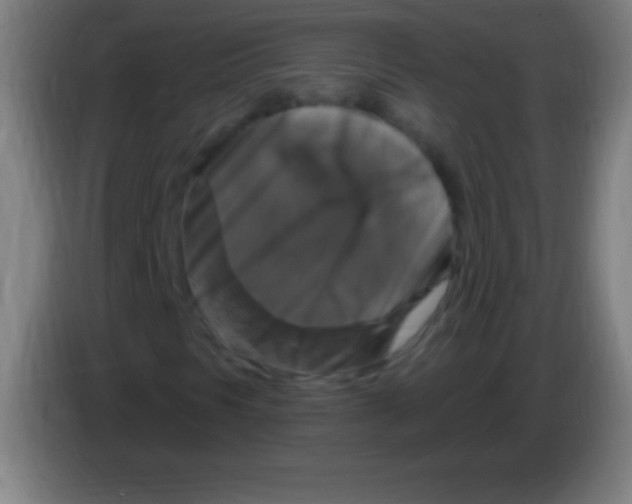 X0000085301297200703301951