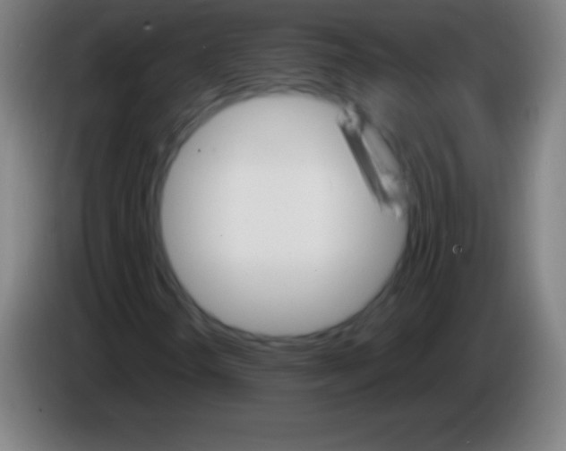 X0000085301298200703301951