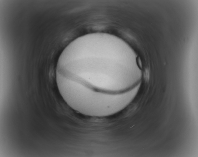 X0000085301299200703301951