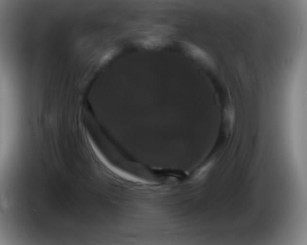 X0000085301300200703301951