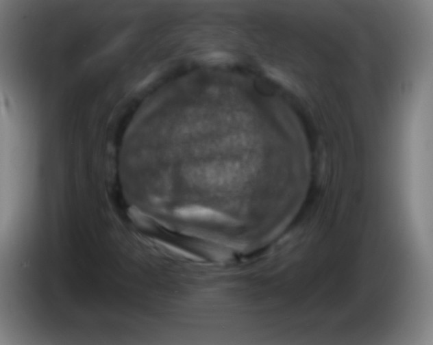 X0000085301301200703301951