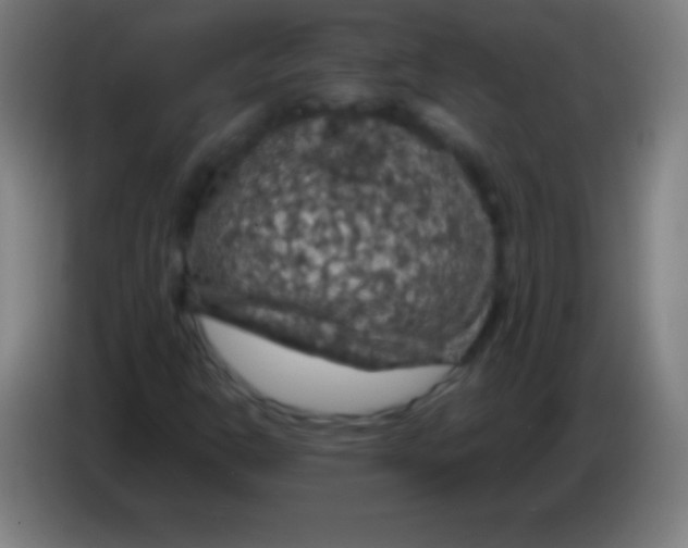 X0000085301302200703301951