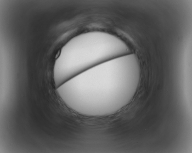 X0000085301303200703301951