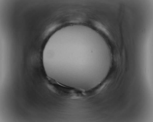 X0000085301304200703301951