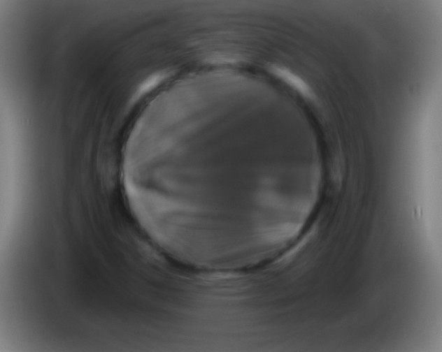 X0000085301306200703301951