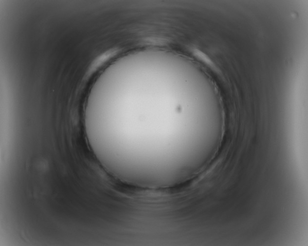 X0000085301307200703301951