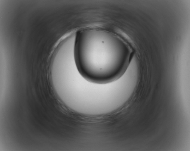 X0000085301308200703301951