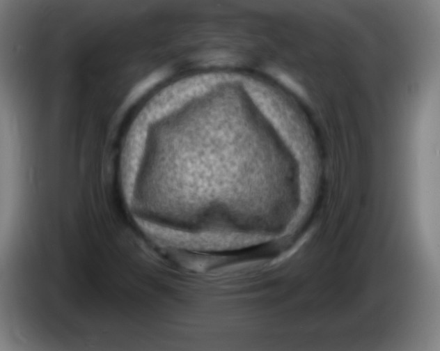 X0000085301309200703301951