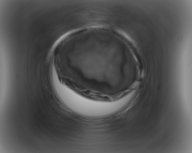 X0000085301310200703301951