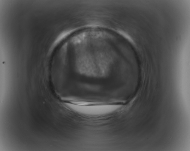 X0000085301311200703301951