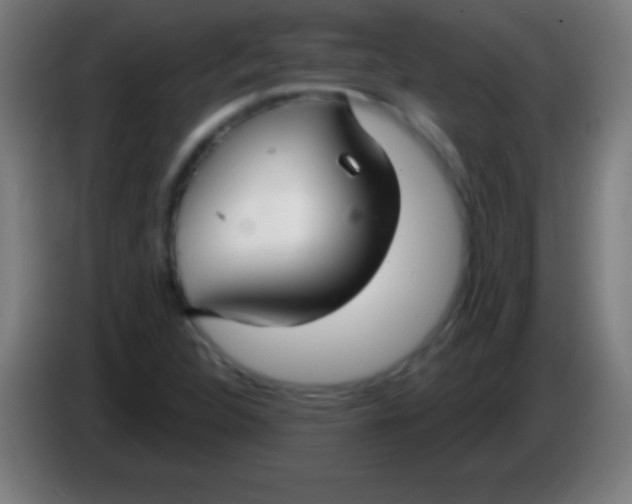 X0000085301312200703301951