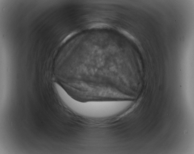 X0000085301313200703301951