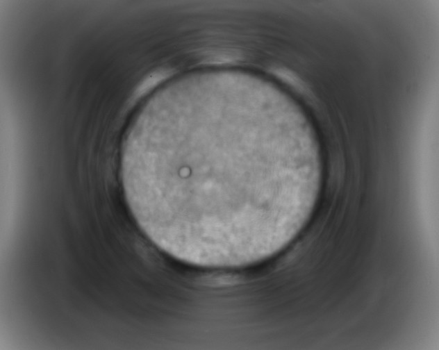 X0000085301314200703301951