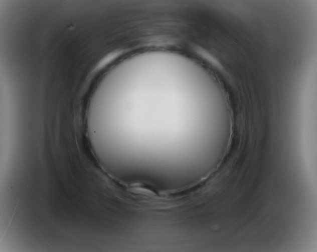 X0000085301315200703301951