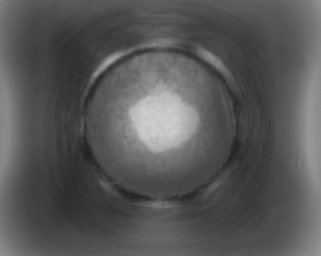 X0000085301316200703301951