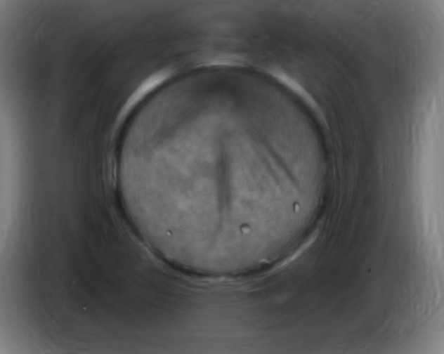 X0000085301317200703301951